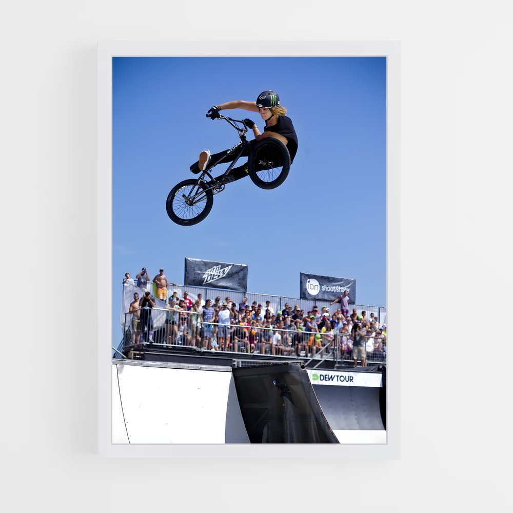 Poster Trickster BMX (vue 3)